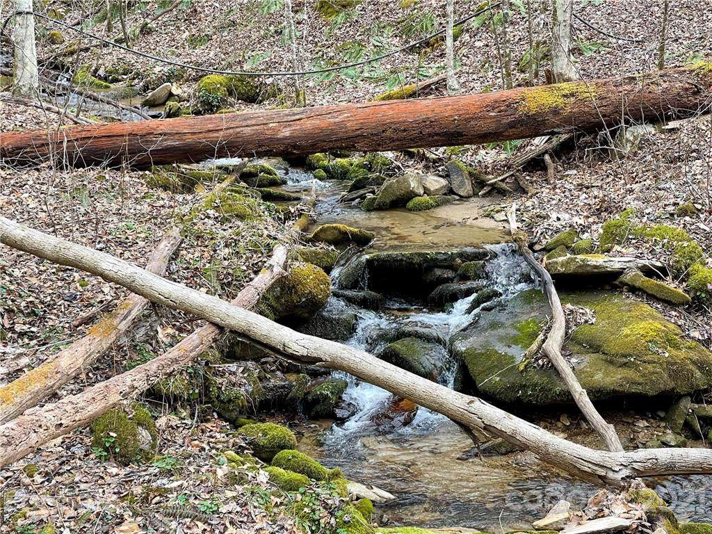 TBD Aaron Branch Road - Photo 1