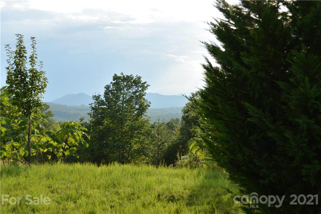 Lot 271 Scenic Vista Drive - Photo 1