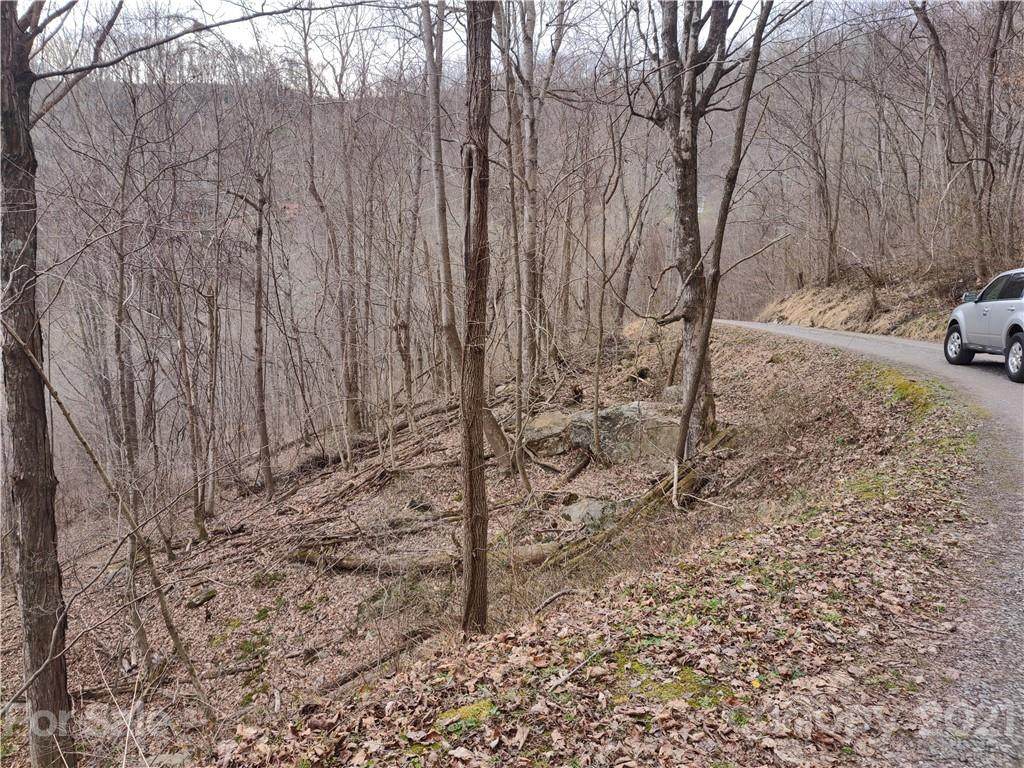 Land off High Spring Trail - Photo 1
