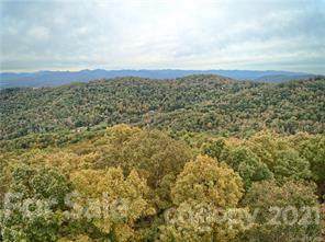 TBD Mount Olive Church Road - Photo 1