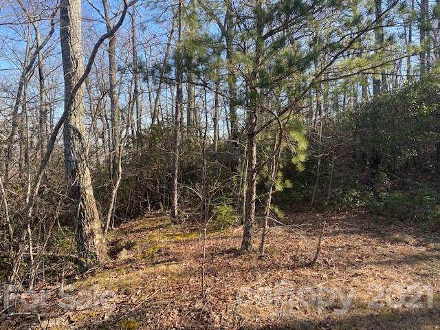 0000 Autumn Forest Drive - Photo 1