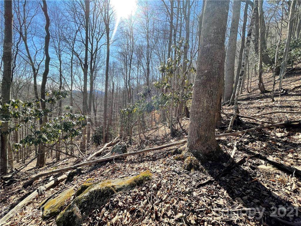 TBD Aaron Branch Road - Photo 1