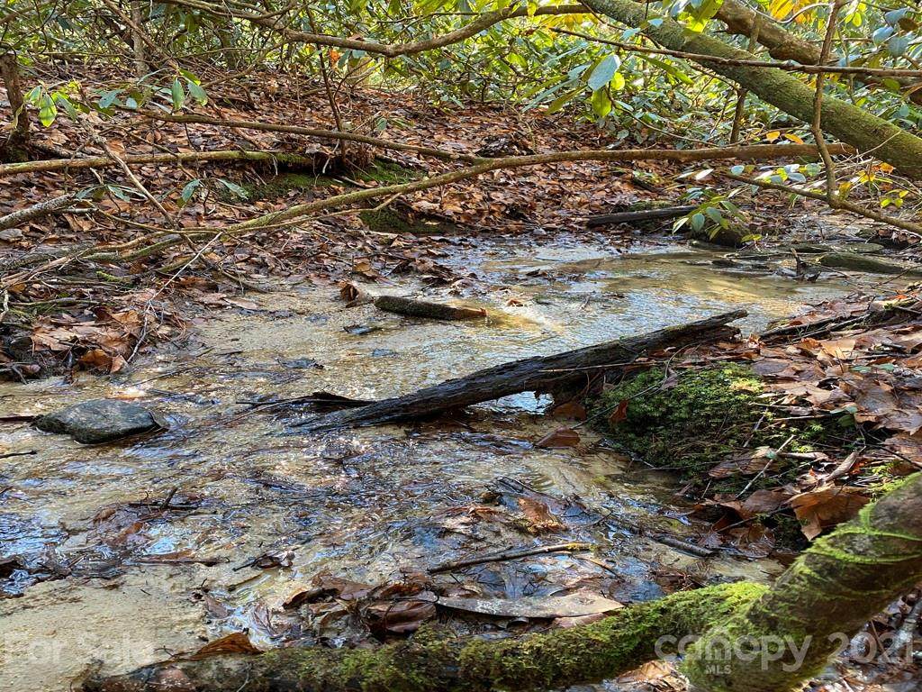 L41 Abby Falls Road - Photo 1