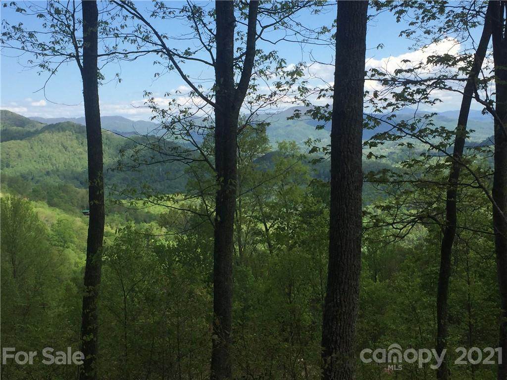 102 Amber Sky Drive - Photo 1