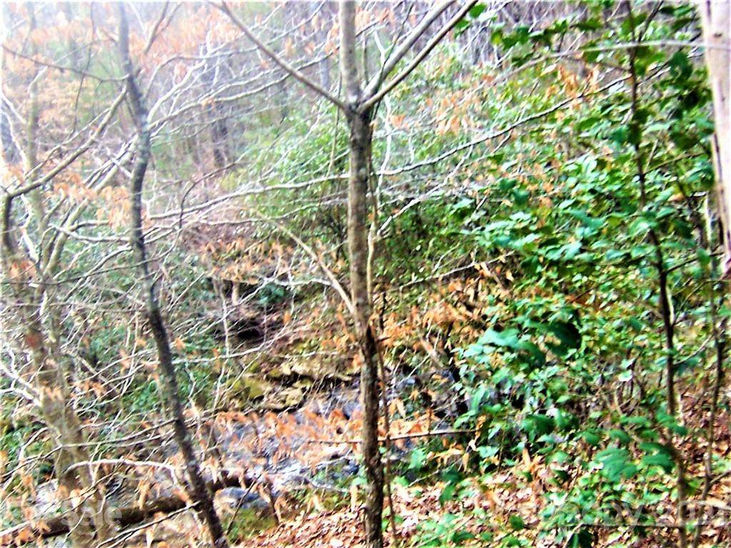 0 Wards Gap Road - Photo 1