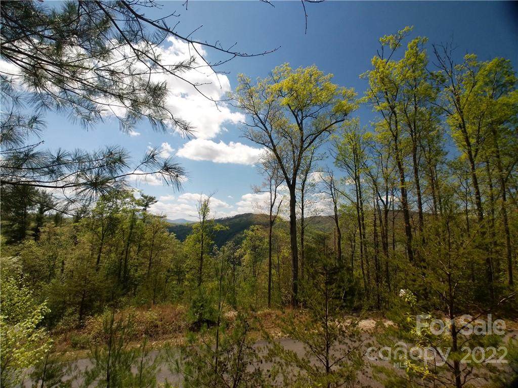Lot 133 Bear River Lodge Trail - Photo 1