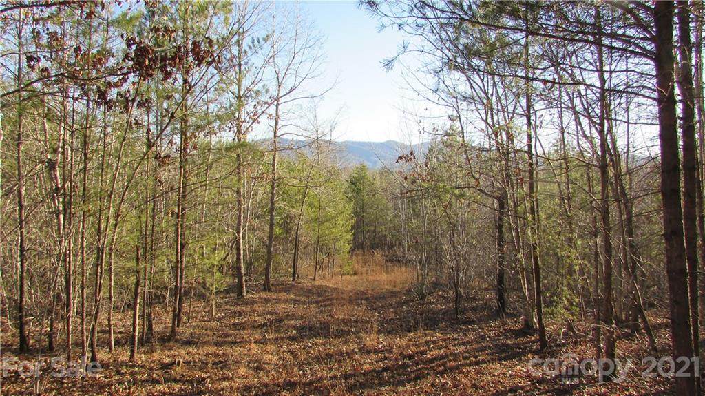 0 Lake Adger Road - Photo 1