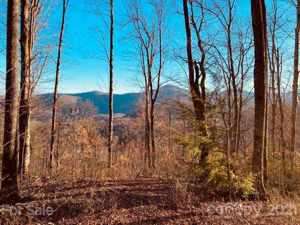 TBD Mountain Watch Drive - Photo 1