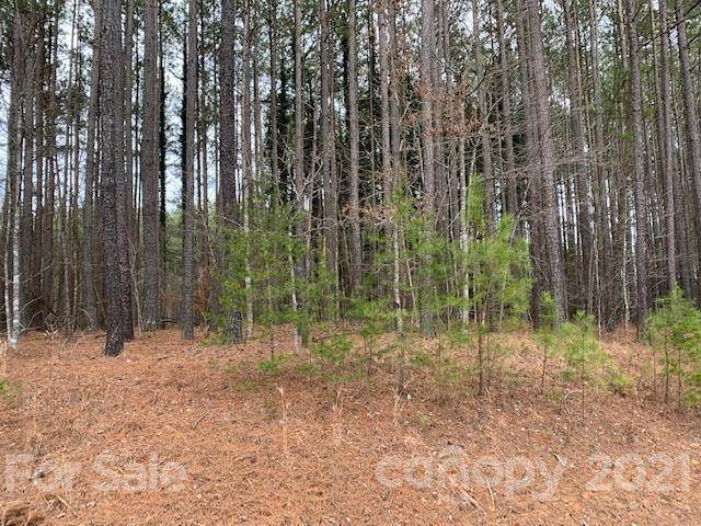 Lot 7 Hidden Lake - Photo 1