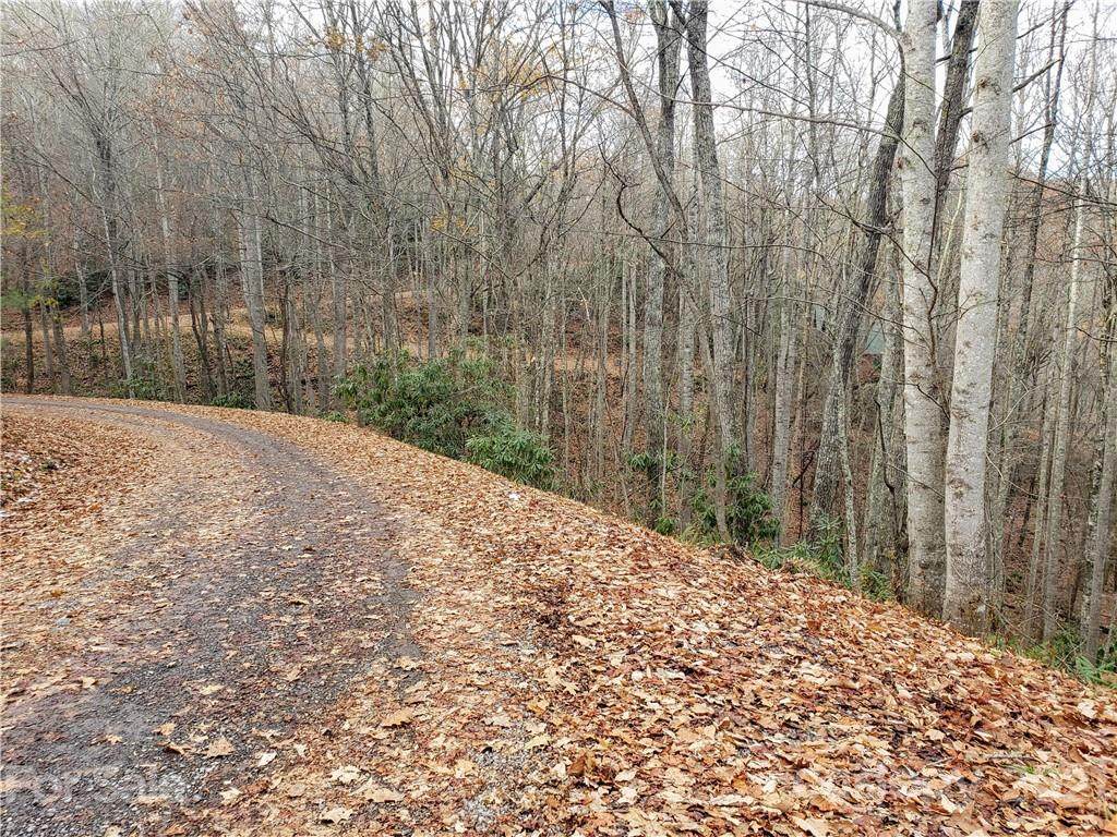 00 Connies Cove - Photo 1