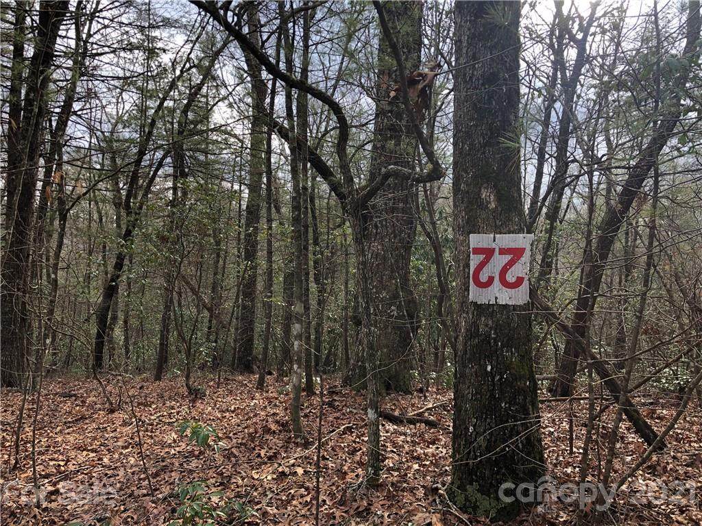 Lot 22 Wellspring Way - Photo 1