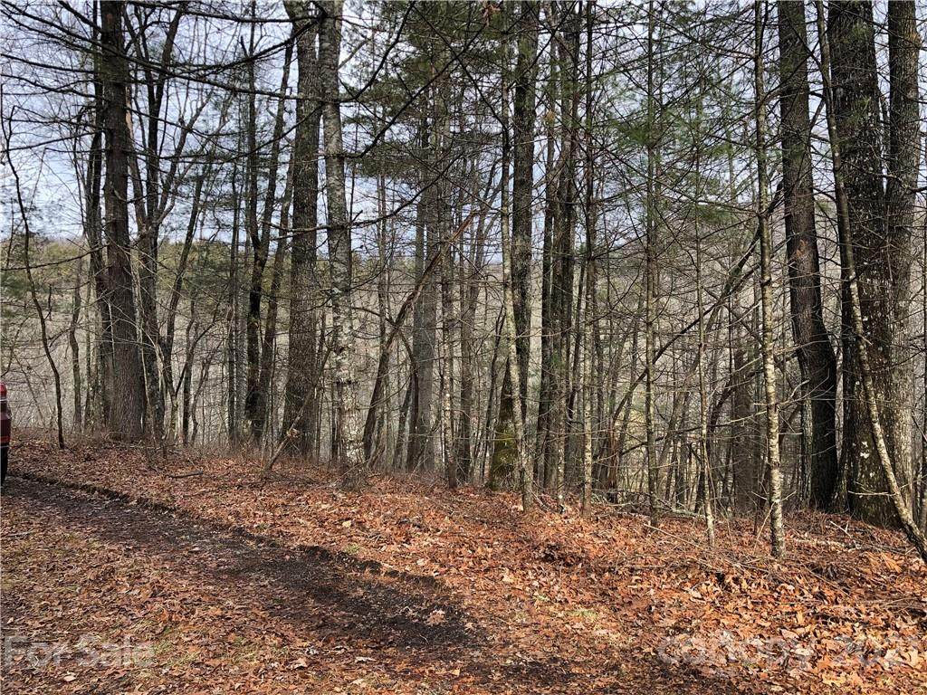 Lot #12 Wellspring Way - Photo 1
