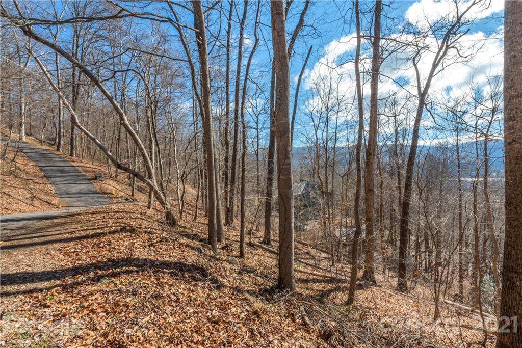 99999 Jazaka Ridge Lane - Photo 1