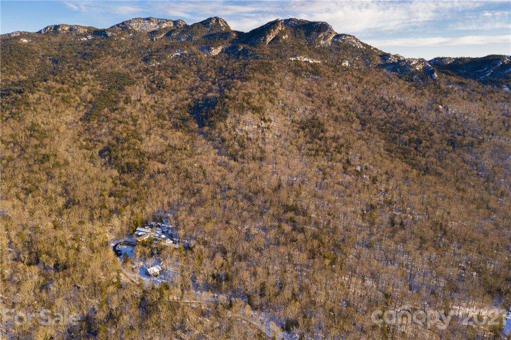 1453 Mountain Springs Road - Photo 1