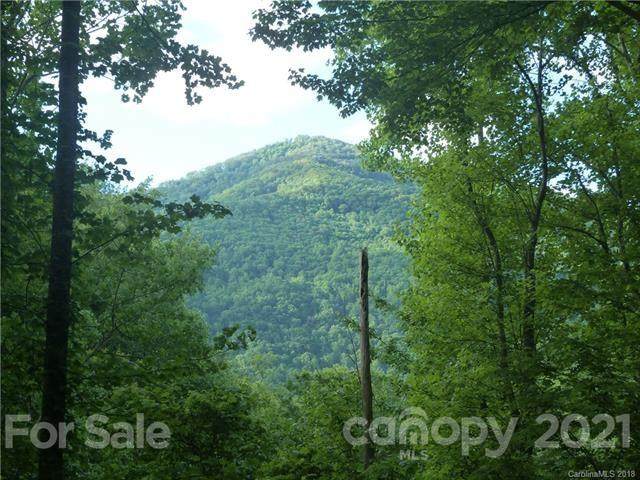 00 Loblolly Way - Photo 1