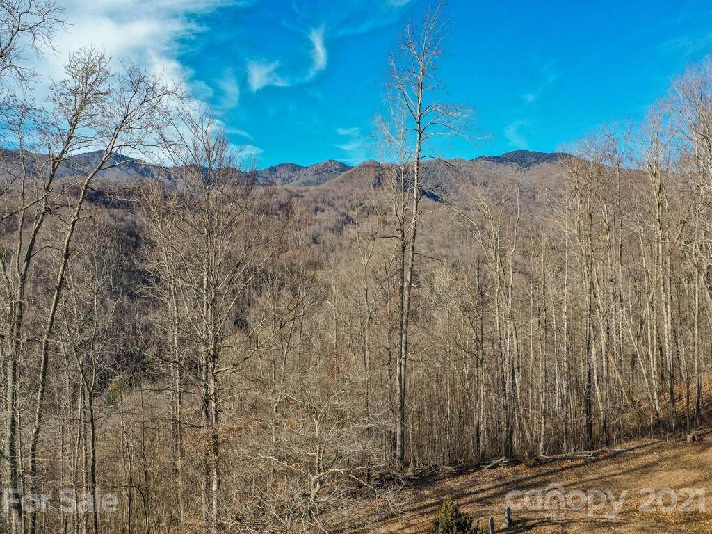 00 Mt Pleasant Church Road - Photo 1