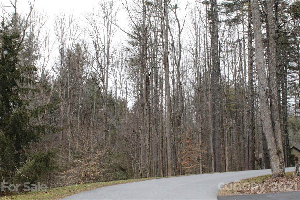 Lot 39 Mountain Brook Trail - Photo 1