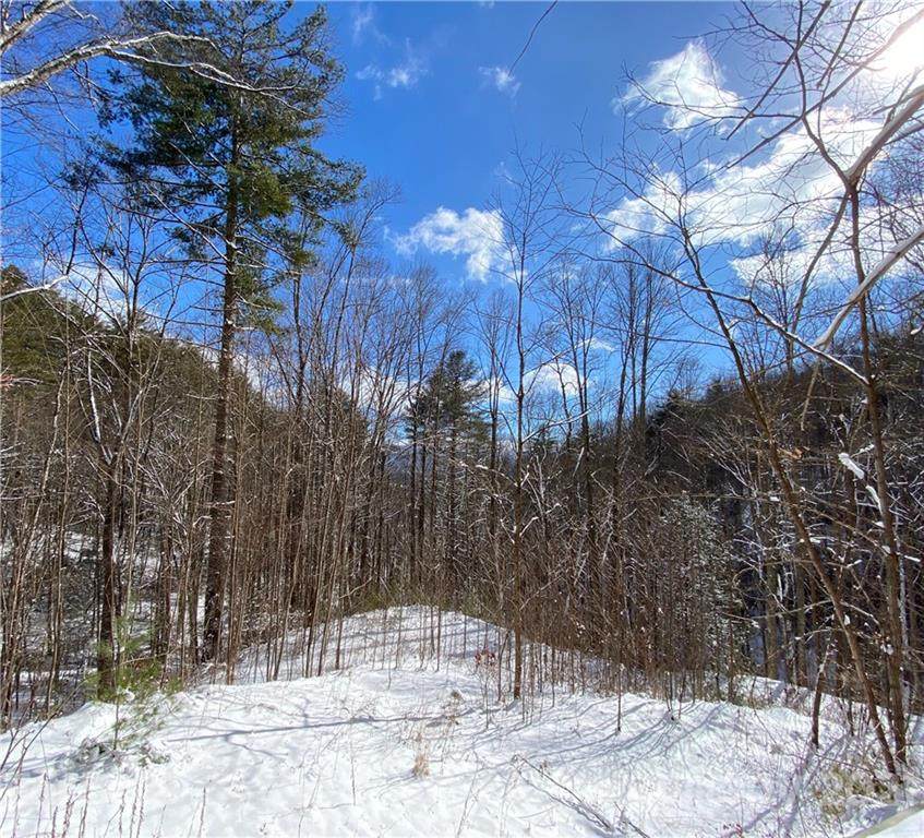 6 Gallant Moose Trail - Photo 1