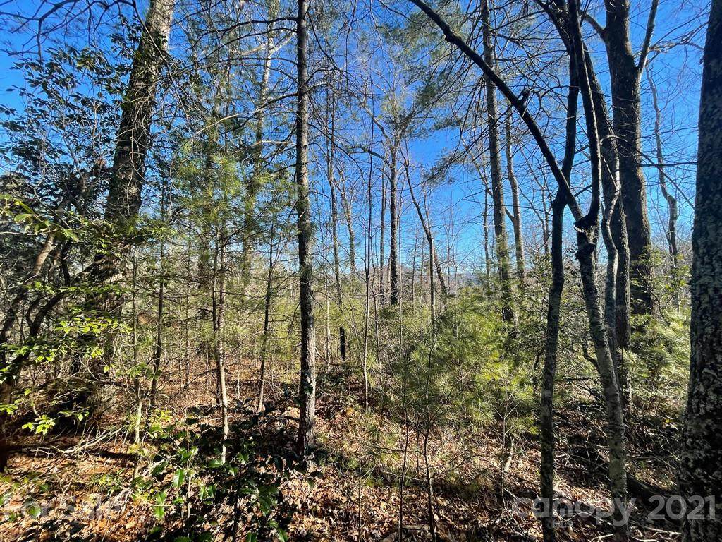 TBD Mountain Home Trail - Photo 1