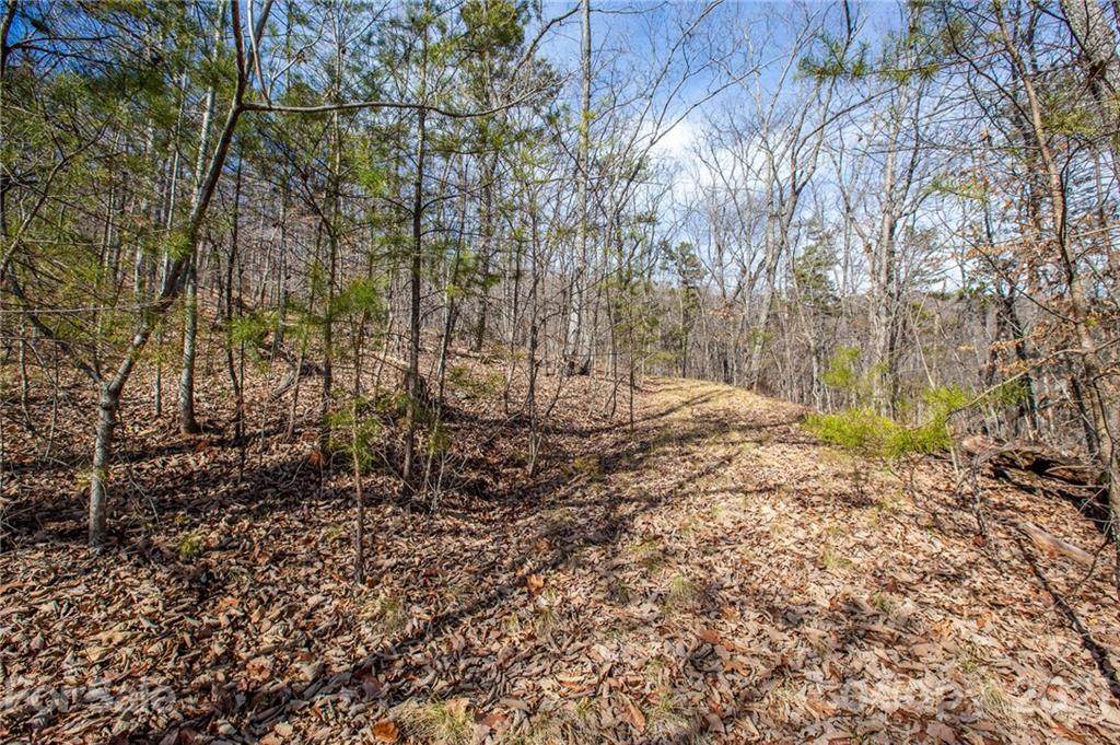 0 Squirrel Hill Road - Photo 1