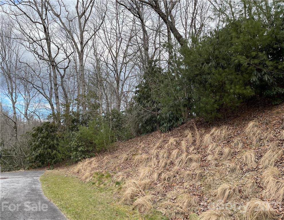 0000 Mountain Ivy Lane - Photo 1