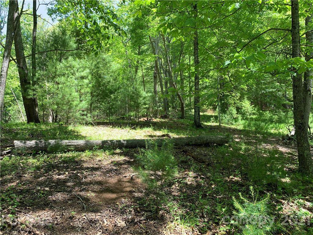 1152 Coxes Creek Road - Photo 1