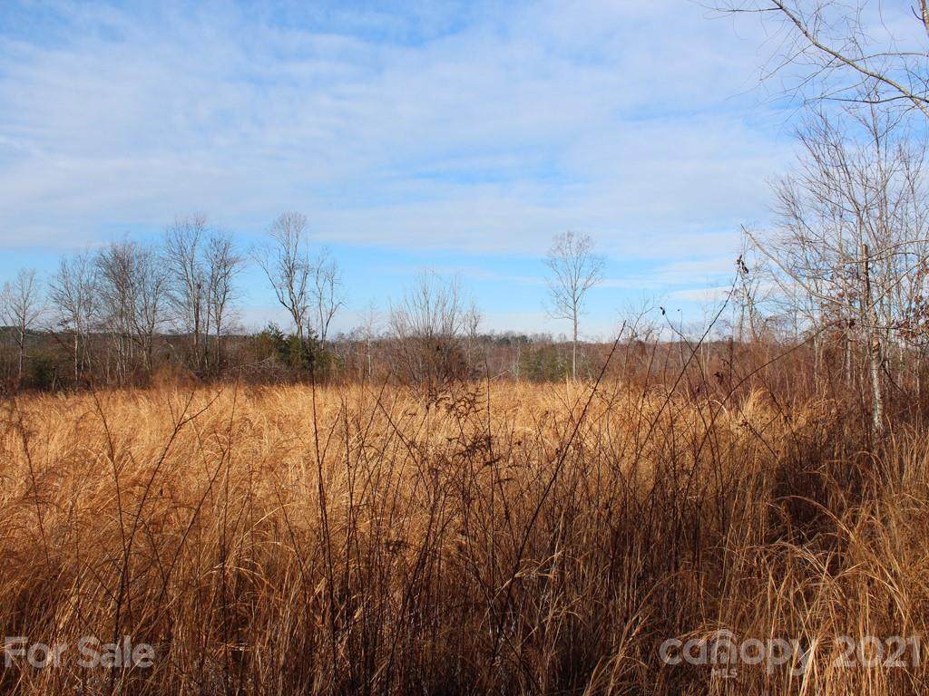1361 Biggerstaff Loop - Photo 1