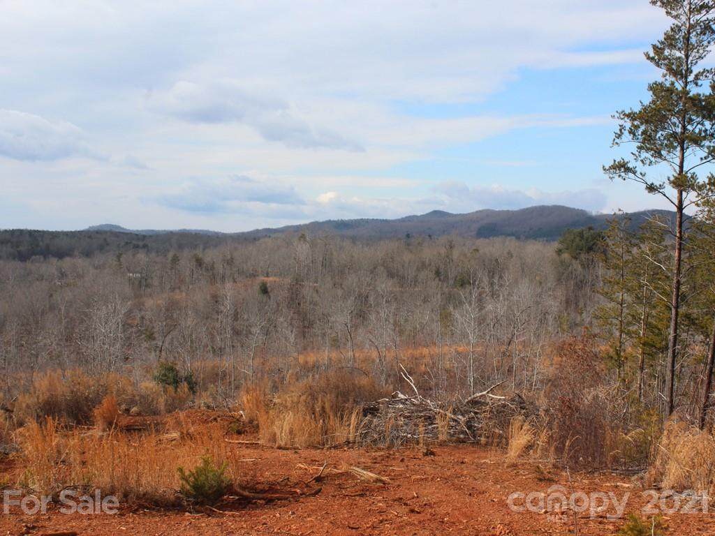 00 Biggerstaff Loop - Photo 1