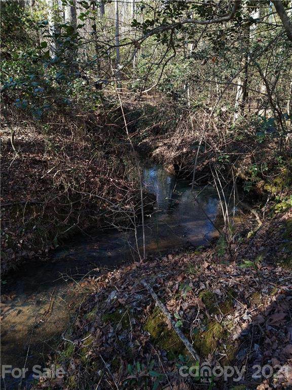 00 Ellenboro Road - Photo 1