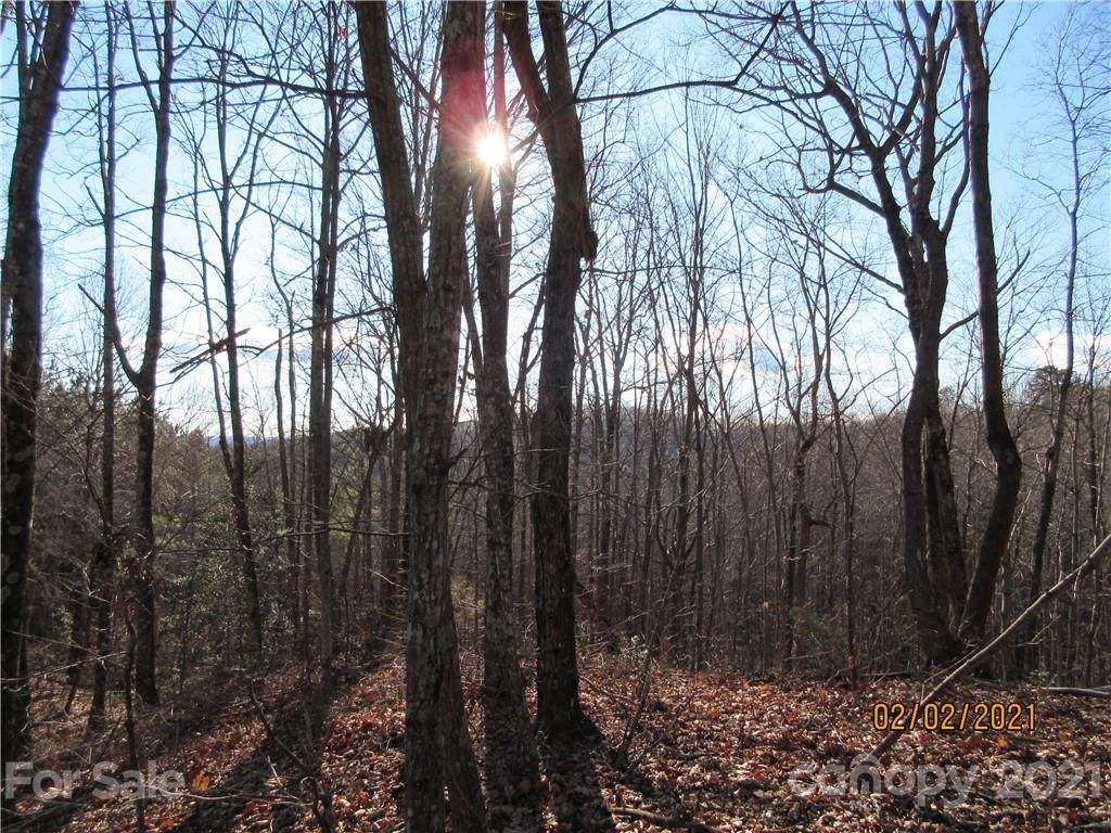 333 Timberlake Drive - Photo 1
