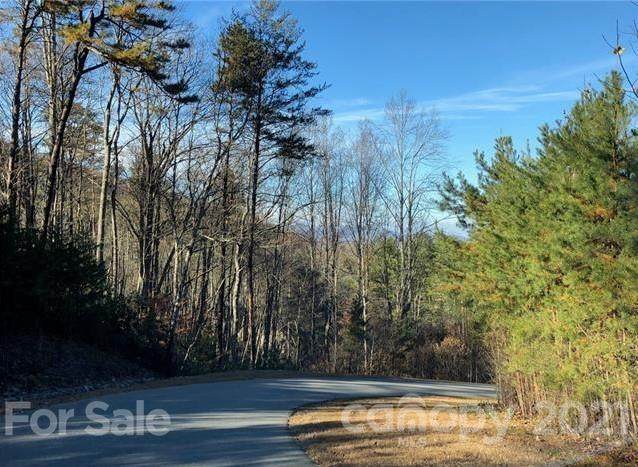 47 Tallwood Road - Photo 1