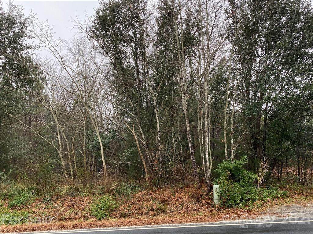 0 Brutonville Road - Photo 1