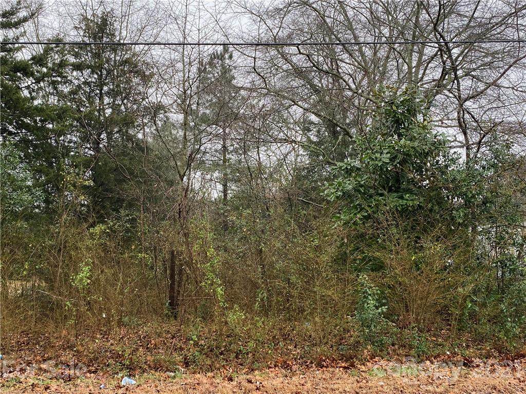 0 Brutonville Road - Photo 1