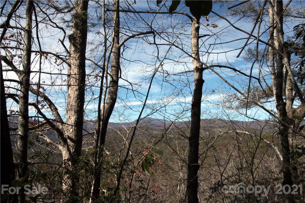 Lot 2 Round Mountain Road - Photo 1