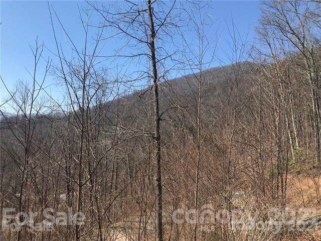 00 Caseys Corner Drive - Photo 1