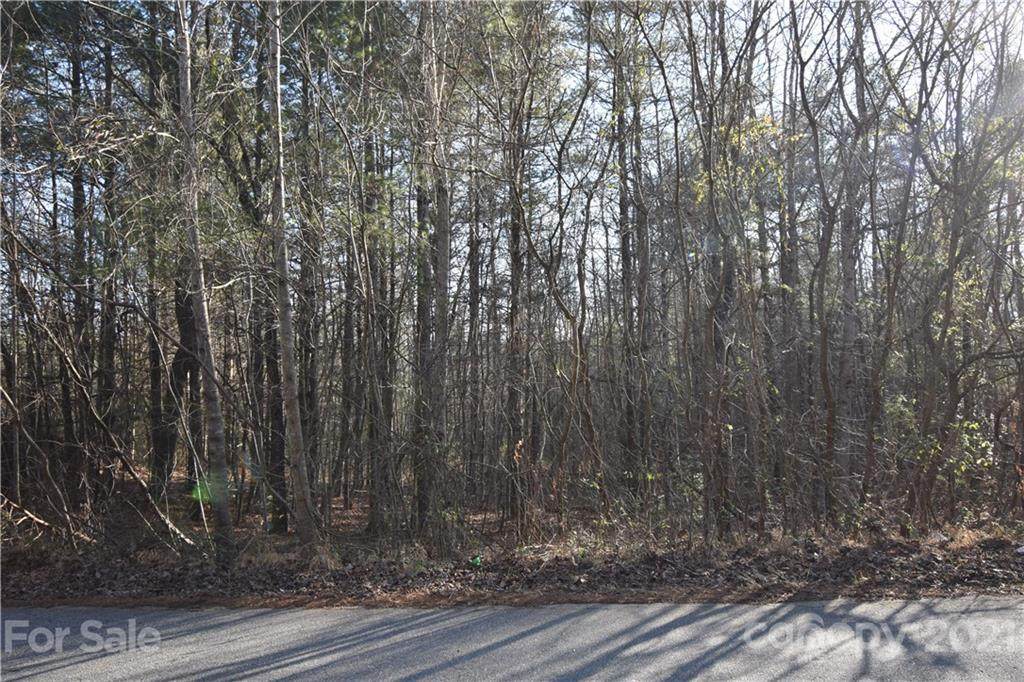 Lot 109 Shadowbrook Drive - Photo 1