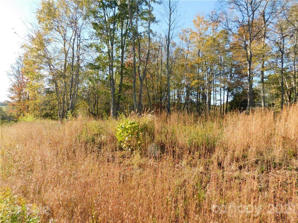 Lot #2 Pheasant Trail - Photo 1