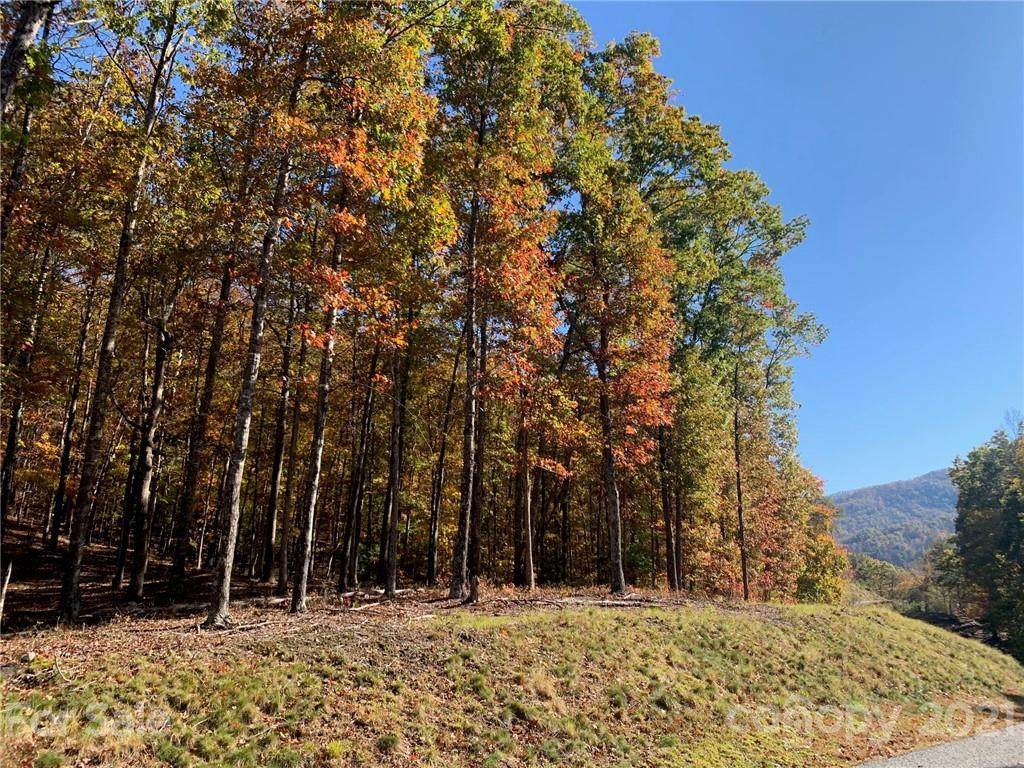 4110 French Broad Parkway - Photo 1