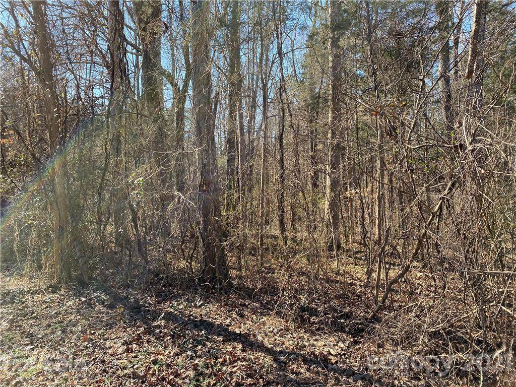 00 Arrow Point Lane - Photo 1