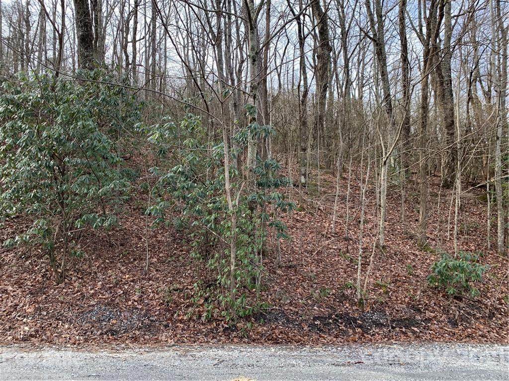 Lot #615 & 616 Melrose Mountain Road - Photo 1