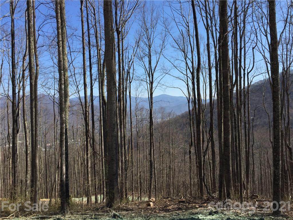1353 Daydream Ridge - Photo 1