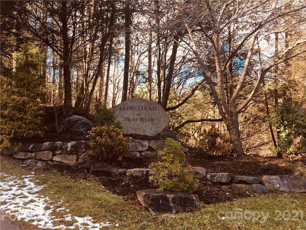 000 Shining Rock Path - Photo 1