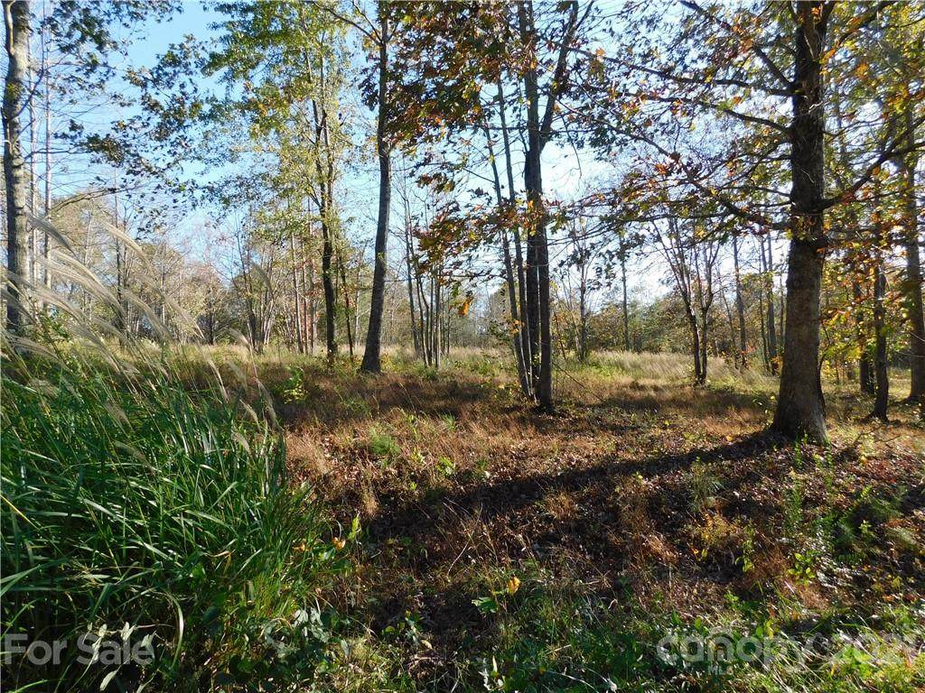 Lot #7 Pheasant Trail - Photo 1