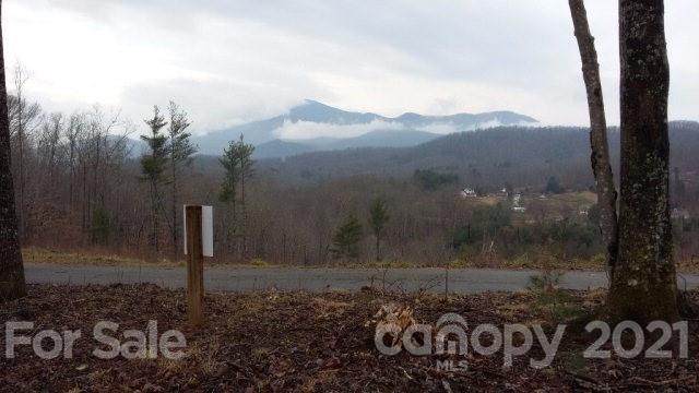 Lot 2 High Peak Drive - Photo 1