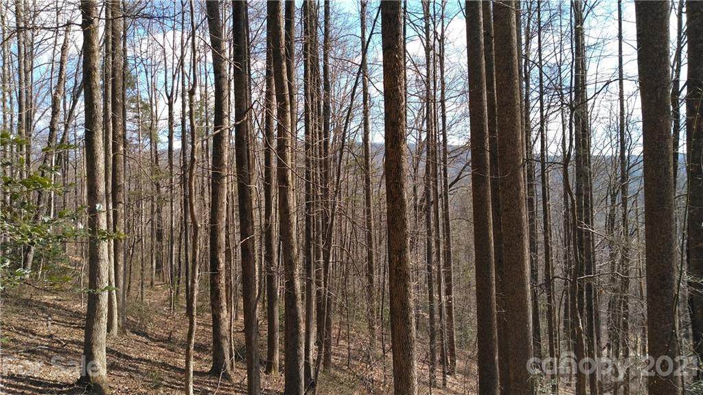 Lot 72,73 Rocky Branch Trail - Photo 1