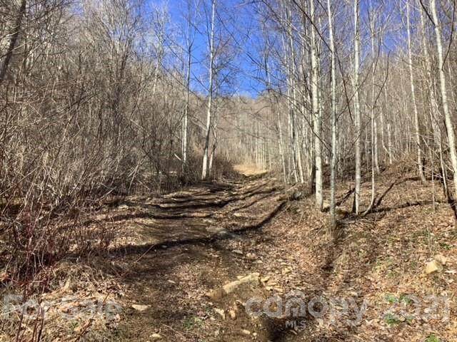 00 Puncheon Fork Road - Photo 1