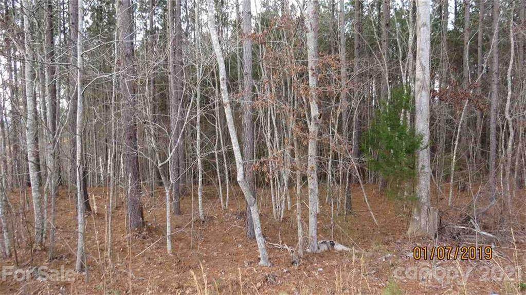 0 Farmer Johns Trail - Photo 1