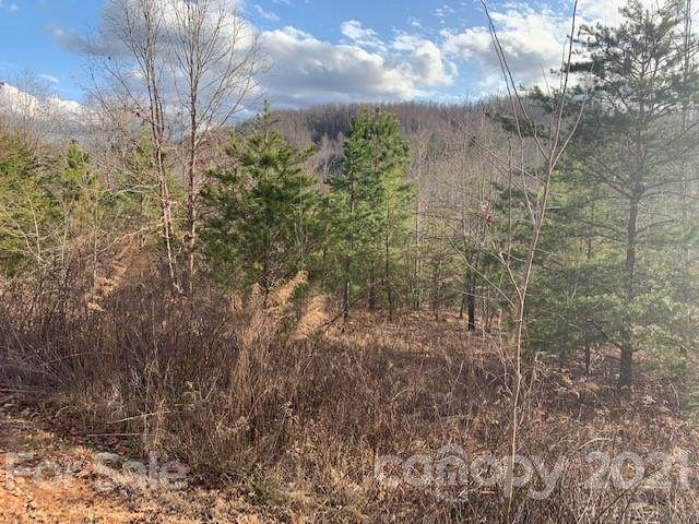 00 Hidden Lake - Photo 1