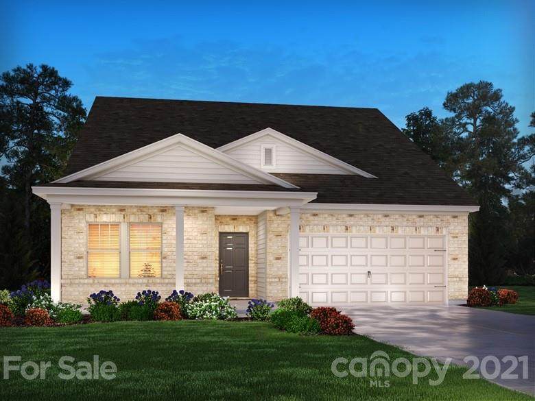 11813 Red Leaf Drive - Photo 1