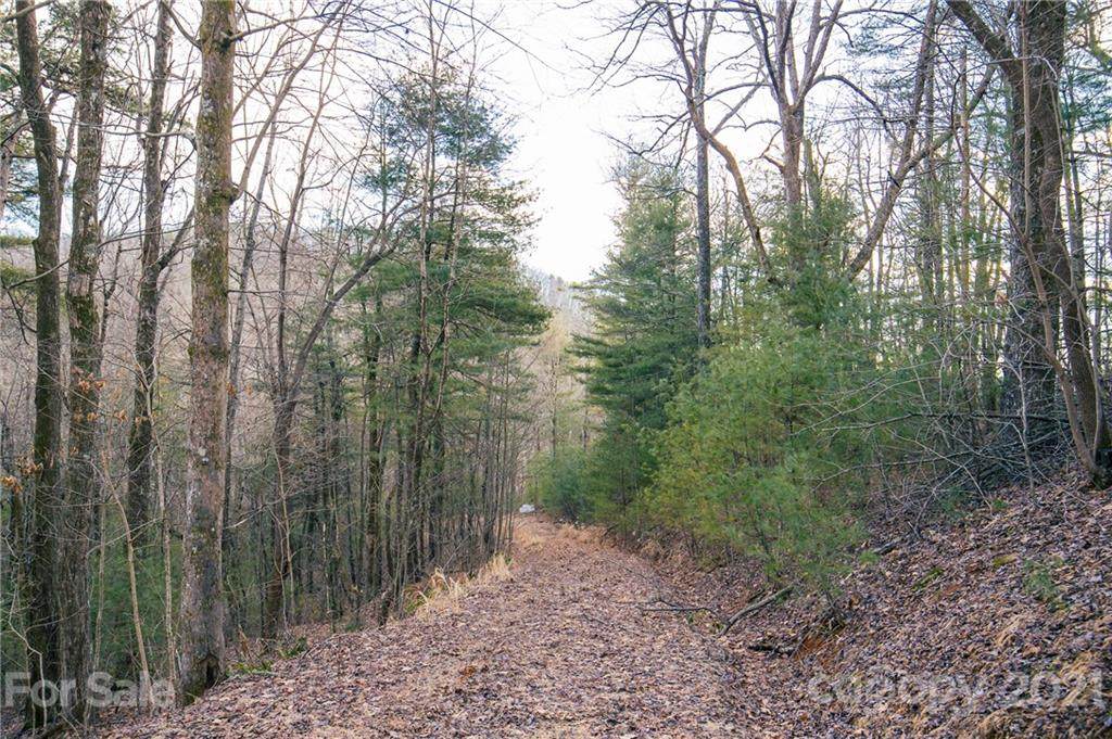 000 English Heifer Cove Road - Photo 1